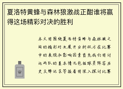 夏洛特黄蜂与森林狼激战正酣谁将赢得这场精彩对决的胜利